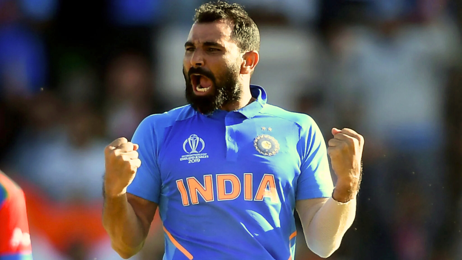 Mohammad Shami Networth